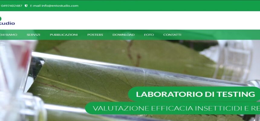 Il nuovo sito di Entostudio