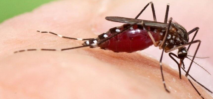DISTRIBUZIONE DI AEDES KOREICUS E AEDES JAPONICUS